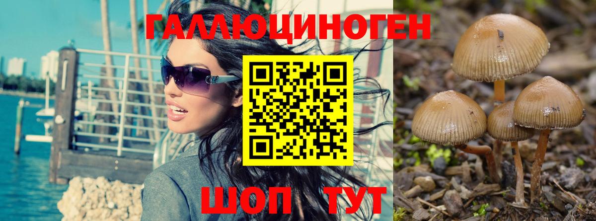 Галлюциногенные грибы Magic Shrooms Павлово