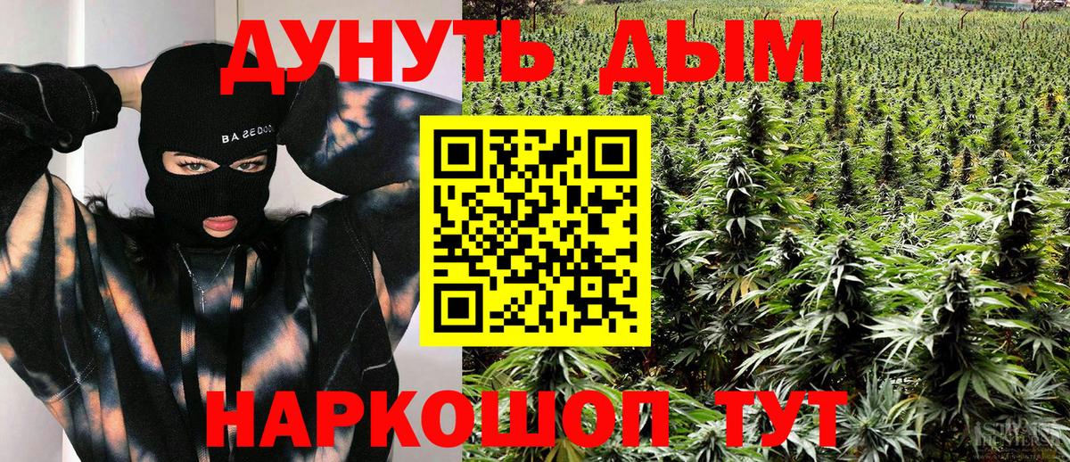 Каннабис конопля Павлово